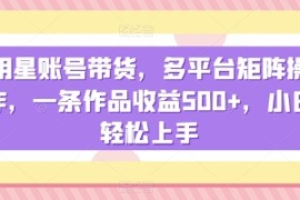 明星账号带货，多平台矩阵操作，...