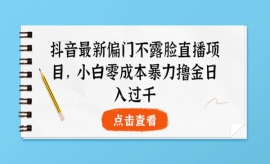 《第220期》抖音最新偏门不露脸...