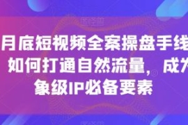 12月底短视频全案操盘手线下课，...