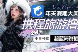 年关假期大风口，携程旅游撸金，...