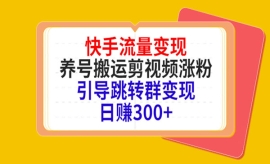 《第435期》快手流量变现，养号...