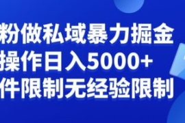 负债粉私域暴力掘金，小白操作入...