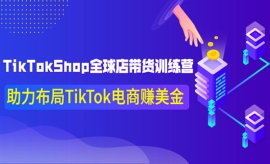 《第283期》TikTokShop全球店带...