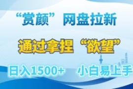 “赏颜”网盘拉新赛道，通过拿捏...