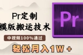 最新Pr定制模版搬运技术，中视频...