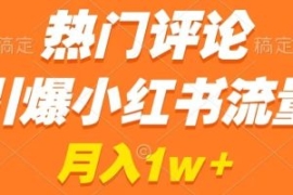 热门评论引爆小红书流量，作品制...