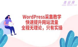 《第66期》WordPress采集教学，...