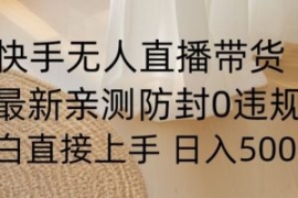快手无人直播带货从0-1落地教学...