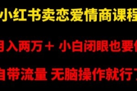 小红书卖恋爱情商课程，月入两万...