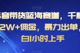 抖音带货蓝海赛道，千粉账号2W+...