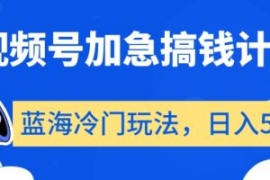 视频号加急搞钱计划，蓝海冷门玩...