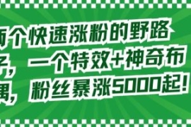 两个快速涨粉的野路子，一个特效...