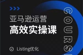 亚马逊运营高效实操课，Listing...