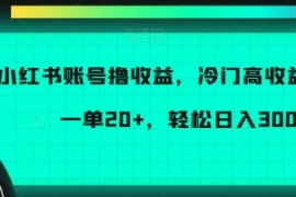 小红书账号撸收益，冷门高收益项...