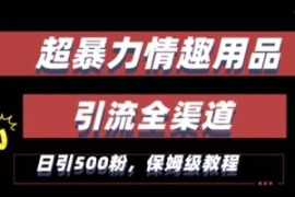 最新情趣项目引流全渠道，自带高...
