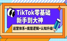 《第216期》TikTok零基础新手到...