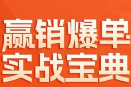 赢销爆单实战宝典，58个爆单绝招...