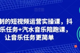 可复制的短视频运营实操课，抖音...
