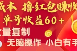 全新平台，0成本撸红包赚收益，...