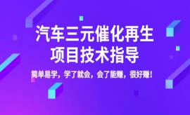 《第275期》汽车三元催化再生项...