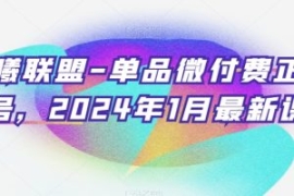 臻曦联盟-单品微付费正价起号，2...