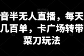 抖音半无人直播，每天轻松几百单...