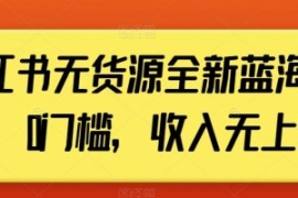 小红书无货源全新蓝海计划，0门...