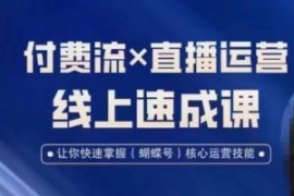 视频号付费流实操课程，付费流✖...