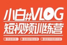 小呆说视–小白VLOG短视频训练营...