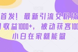 全网首发！最新引流女粉技术，单...