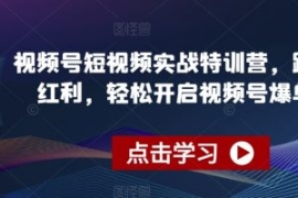 视频号短视频实战特训营，踩准风...