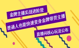 《第306期》金牌主播实战进阶营...