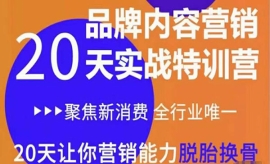 《第二十二期》《内容营销实操特...