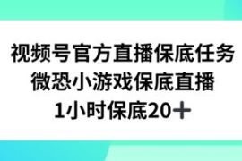 视频号直播任务，微恐小游戏，1...