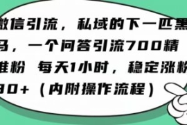 怎么搞精准创业粉？微信新赛道，...