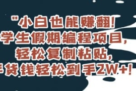 小白也能赚翻！学生假期编程项目...