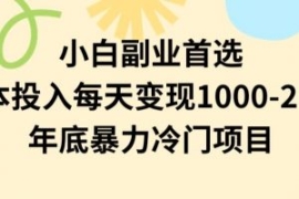 小白副业首选，0成本投入，每天...