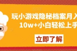 玩小游戏隐秘档案月入5-10w+小白...