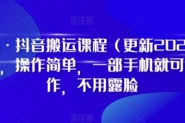 D1G·抖音搬运课程（更新2024年0...