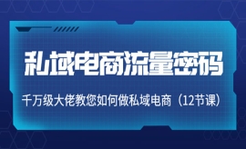 《第411期》私域电商流量密码：...