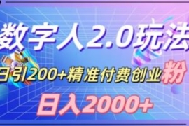 利用数字人软件，日引200+精准付...